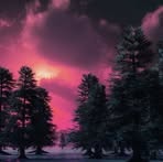 Eugene Bart - Facebook