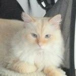 Ted Eugene Bear-Cautrelli - @tebear011 - Instagram