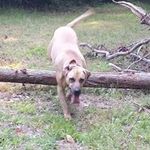 Gene Beard - @gene.beard - Instagram