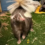 @eugene_belford_flynn - Instagram