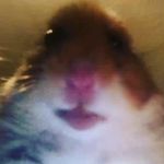 Eugene_Black - @eugene_black7895 - Instagram