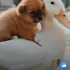 Eugen Anton - @eugenan - TikTok
