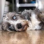 Eugene - @eugene_blueeyes - Instagram