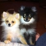 Gene Boggs - @cajunboy1941 - Instagram