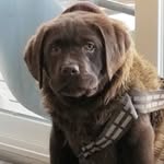 Mr. Eugene born 12/04/2019 - @eugene120419 - Instagram