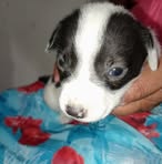 Eugenia Botello - Facebook
