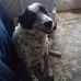 Eugene Bottoms - Facebook
