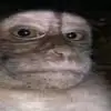 eugenetinklebotto - @eugene.tinklebott - TikTok