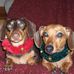 Gene Boudreau - Facebook