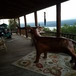 Eugene Bowles - @bowles9963 - Instagram