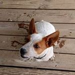 Eugene Bowman - @eugene.bowman39 - Instagram