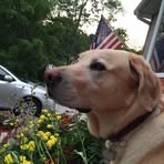 Eugene Brandon - Facebook