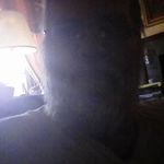 Eugene Wimmer Burke - @wimmerburke - Instagram