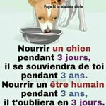 Carline Eugène - @carline.eugene.792 - Instagram