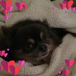 Eugene  caron - @eugene_caron - Instagram