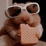 Mr. Eugene C - @eugene_cheeks - Instagram