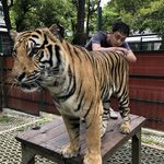 Eugene Chen - @_eugene.chen - Instagram