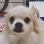 Eugene Choo Hoe Chin - @eugenechoohoechin - Instagram