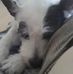 Gene Church - Facebook