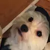 Gene Clanton - @gene.clanton - TikTok