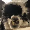 Colter Eugene - @coltereugene - TikTok