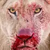 Eugene Coetzee - @eugene.coetzee7 - TikTok