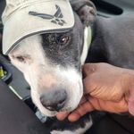Eugene Cummings - @fukwatdeytalmbout47dou - Instagram