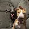 Eugene and Dale - @eugene.and.dale - TikTok