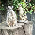 Eugene Daly - @eugened2468 - Instagram