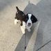 Eugene Daly - Facebook