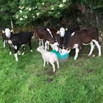 Eugene Daly - @eugene.daly - Instagram