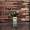 eugenedean395 - @eugenedean395 - TikTok