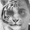 eugenedonson - @eugenedonson - TikTok