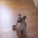 Eugene Dow - @lil_ed_dakid - Instagram