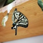 Eugene dow - @dow.eugene - Instagram