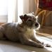 Eugene Dowd - Facebook