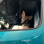 Eugene Dowdy - @eugene.dowdy.165 - Instagram
