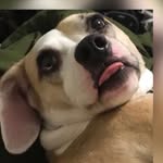 Eugene - @eugene.andrew.8970 - Instagram