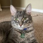 Eugene - @eugene.earl23 - Instagram