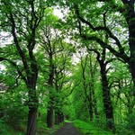 Eugene Egan - @creideghyda - Instagram