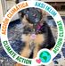 Eugene Egan - Facebook