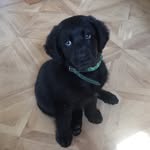 Reginald Eugene Egan - @reggieontour - Instagram