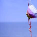 EugeneElmore - @eugeneelmoref - Instagram