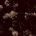 Eugene Millar Farley - Facebook