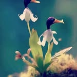 Eugene Fernandes - @eugenefernandes786 - Instagram