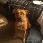 Eugene Fields - @eugene.fields.5621 - Instagram