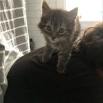 Eugene Fishman - @therealeugenefishman - Instagram