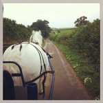 Eugene Foley - @tuchiffystud - Instagram