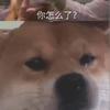 Eugene Galvan - @leland_house597575 - TikTok