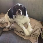 Eugene A Geist - Facebook